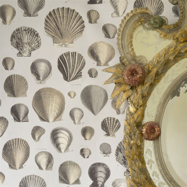 John Derian Captain Thomas Browns Shells Oyster – Sheen Upholstery