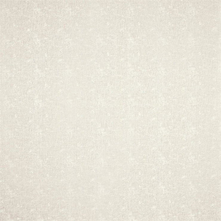 Turtle Cove Shell Sheer - Oyster