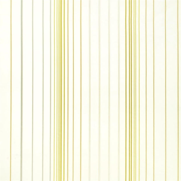 Cerrillo - Chartreuse