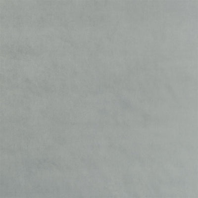 Dennise - Silverbirch