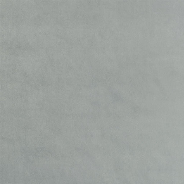 Dennise - Silverbirch