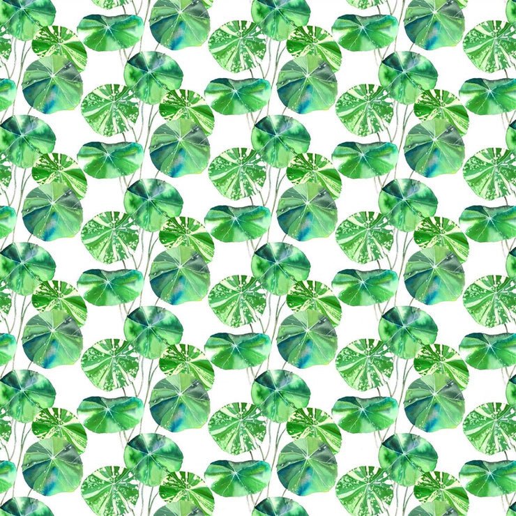 Brahmi Outdoor - Leaf