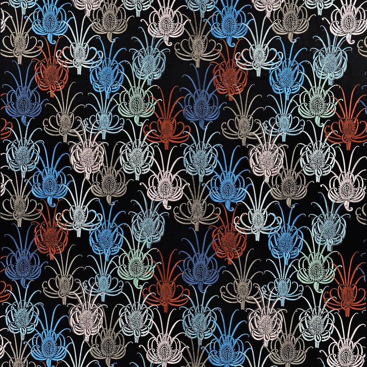 Les Centaurees - Chardon