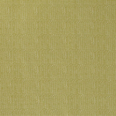 Pompano Outdoor - Acacia