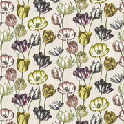 Variegated Tulips - Buttermilk
