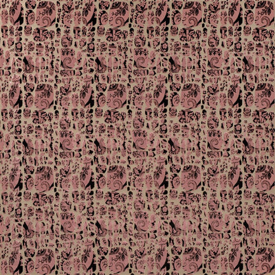 Le Pas Des Anges - Bourgeon