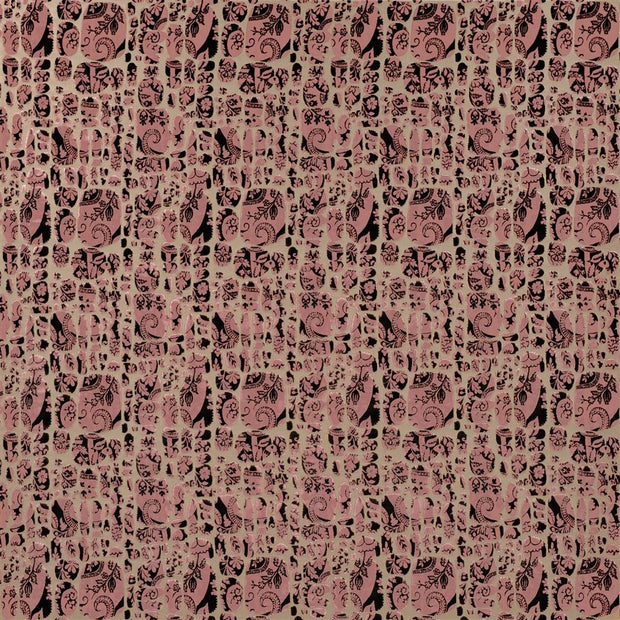 Le Pas Des Anges - Bourgeon