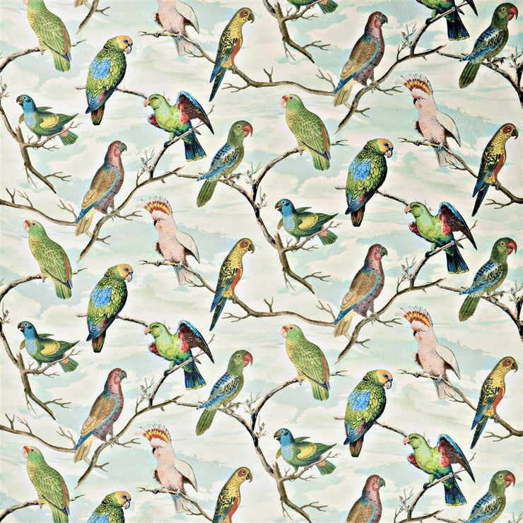 Parrot Aviary - Sky Blue