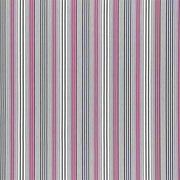 Pinstripe - Cassis