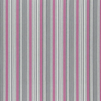 Pinstripe - Cassis