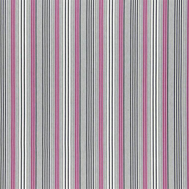 Pinstripe - Cassis