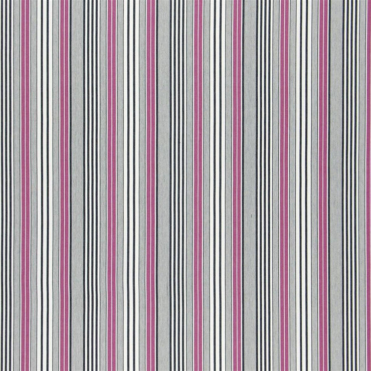 Pinstripe - Cassis