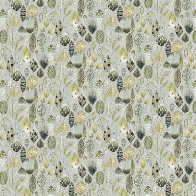 Tulsi Outdoor - Sage