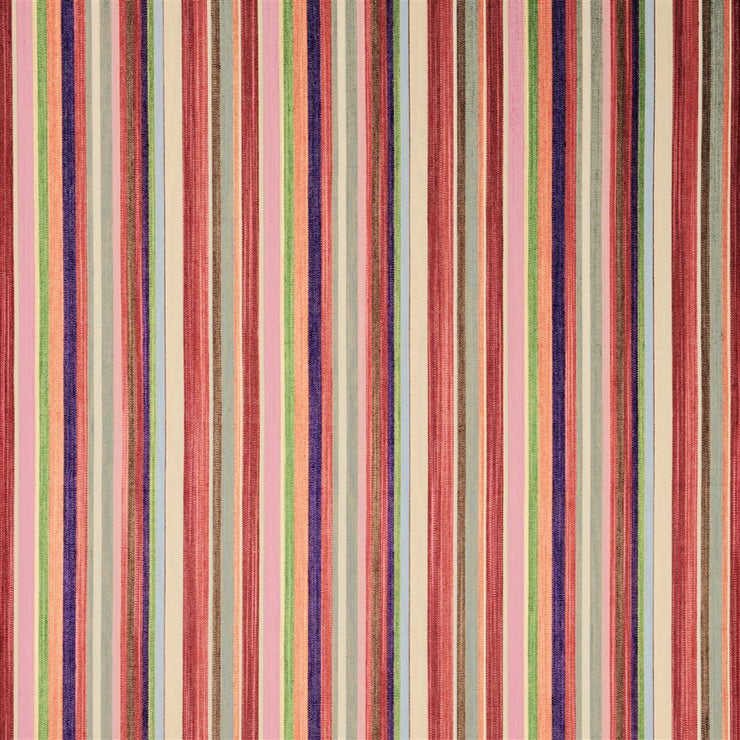 Herring Cove - Fuchsia