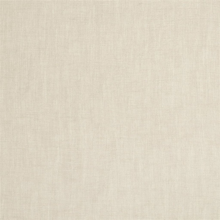 Trevisina - Parchment