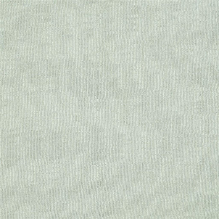 Trevisina - Duck Egg