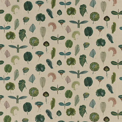 A Leaf Study - Linen