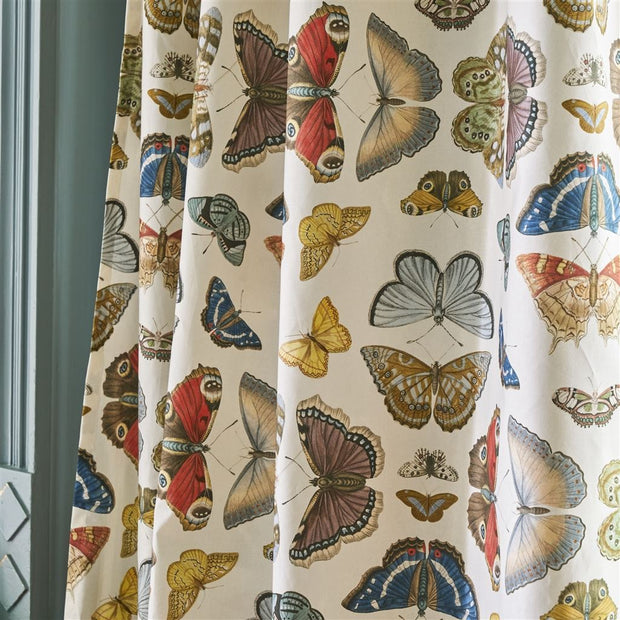 John Derian Mirrored Butterflies Parchment