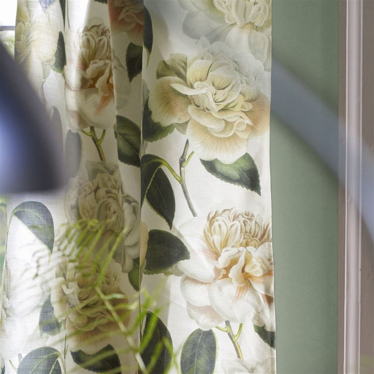 John Derian Camellia Folly Parchment