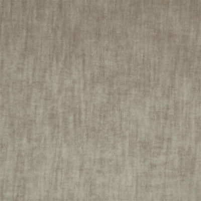 Opera - Silver Birch