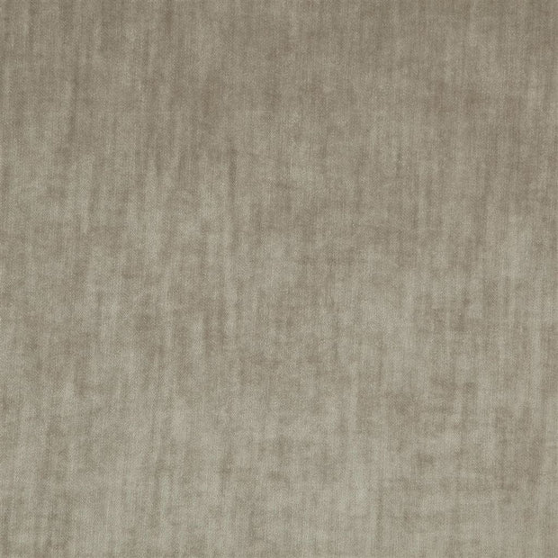 Opera - Silver Birch