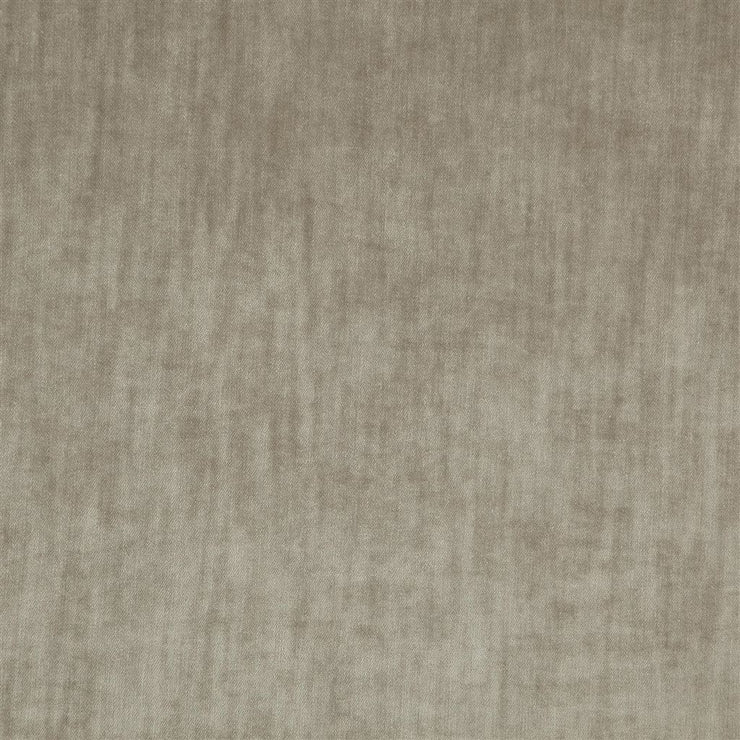 Opera - Silver Birch