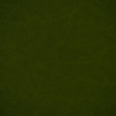 Matara Lucida - Olive