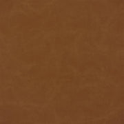 Matara Lucida - Spice