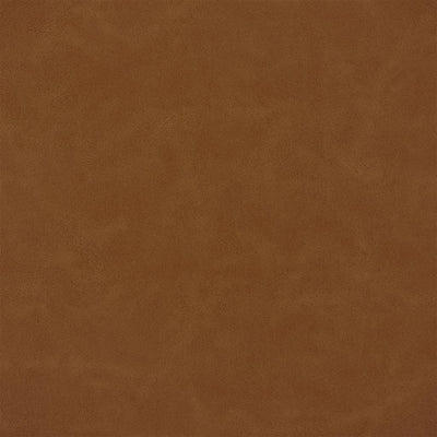 Matara Lucida - Spice