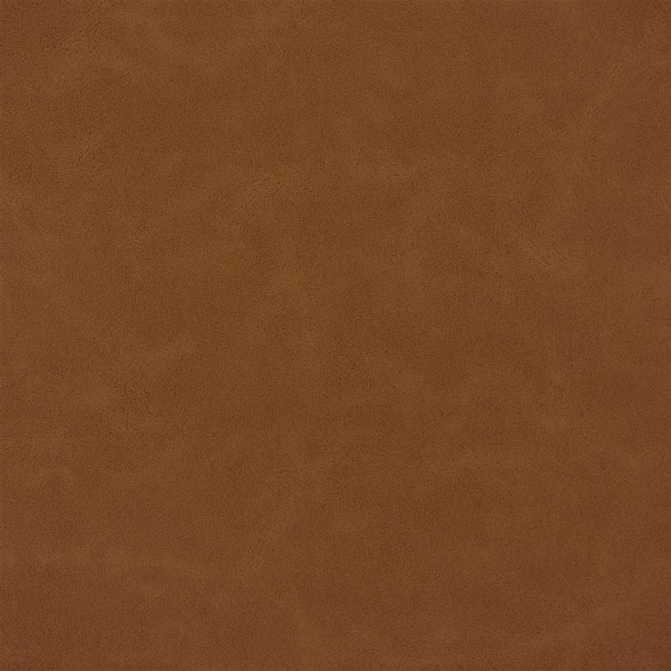 Matara Lucida - Spice