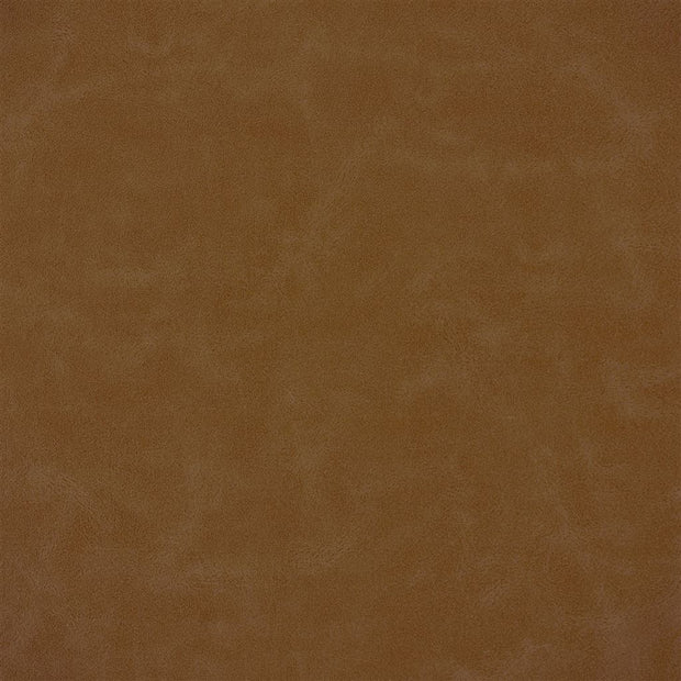 Matara Lucida - Cinnamon