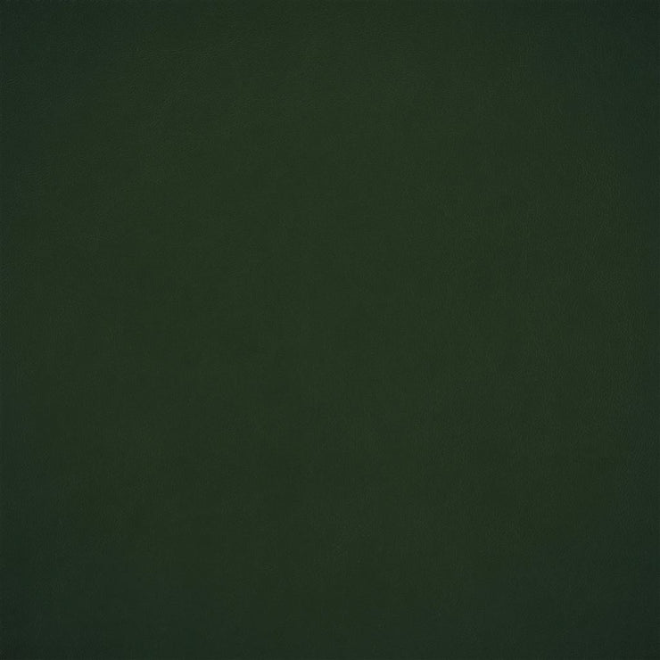 Matara Nappa - Forest