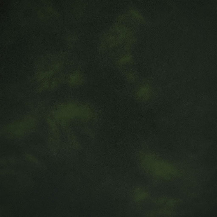 Matara Lucida - Forest