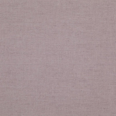 Mirissa Alta - Orchid