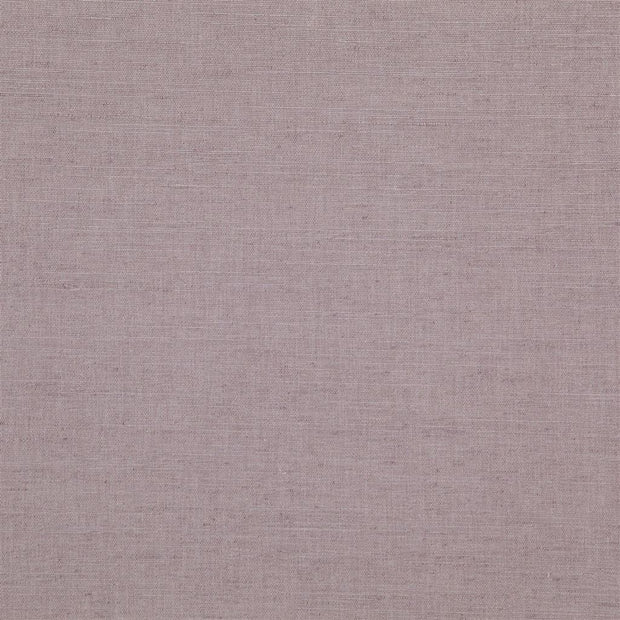 Mirissa Alta - Orchid