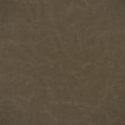 Matara Lucida - Pinecone