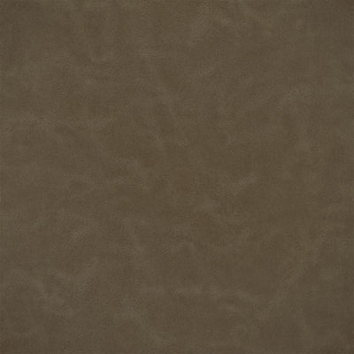 Matara Lucida - Pinecone