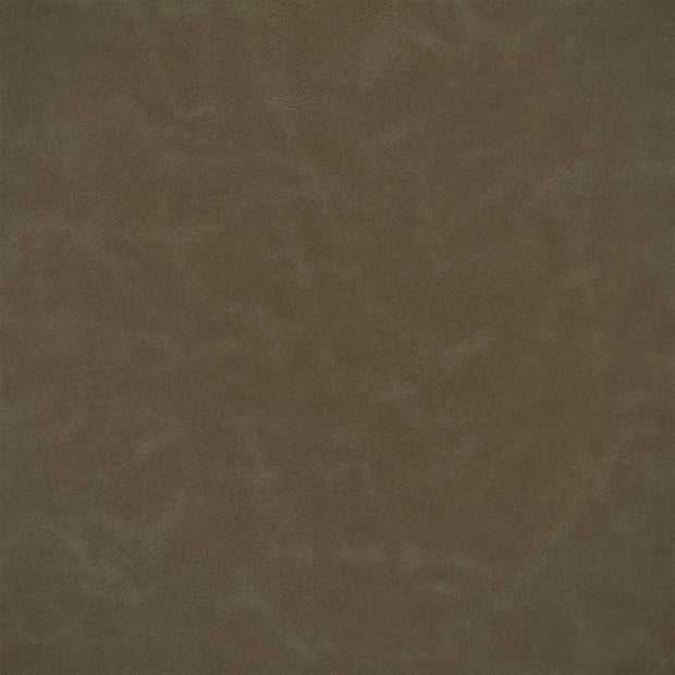 Matara Lucida - Pinecone