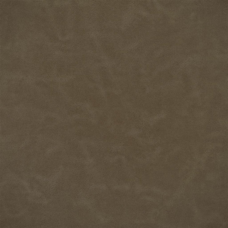 Matara Lucida - Pinecone