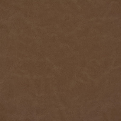 Matara Lucida - Chestnut