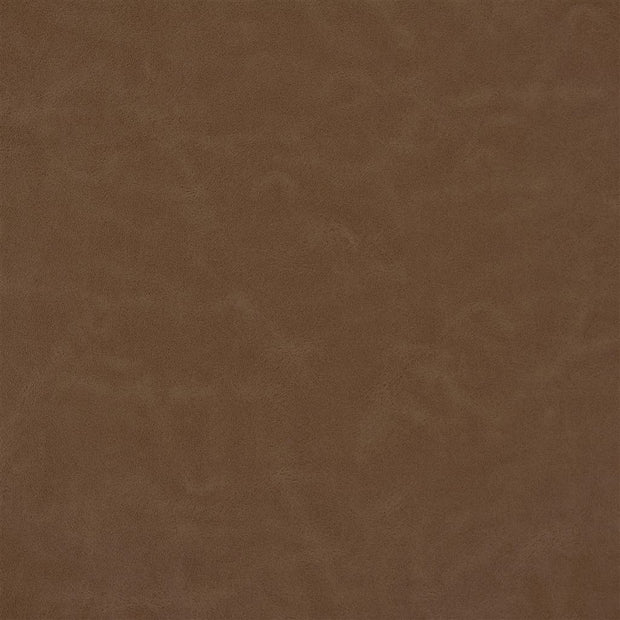 Matara Lucida - Chestnut