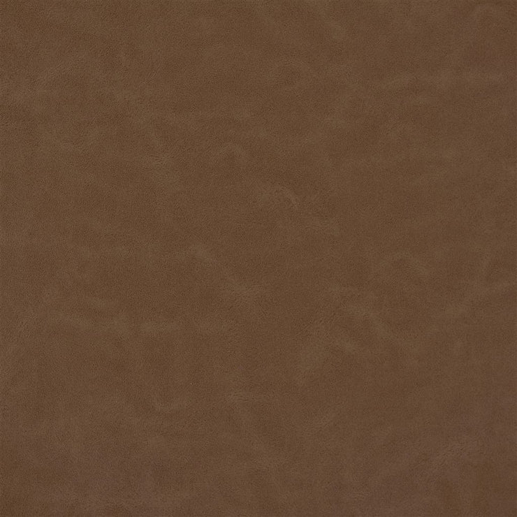 Matara Lucida - Chestnut