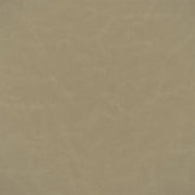 Matara Lucida - Biscuit