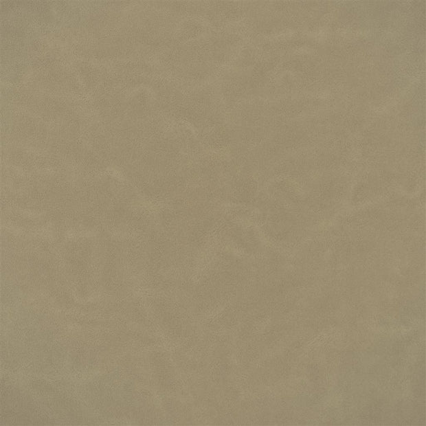 Matara Lucida - Biscuit