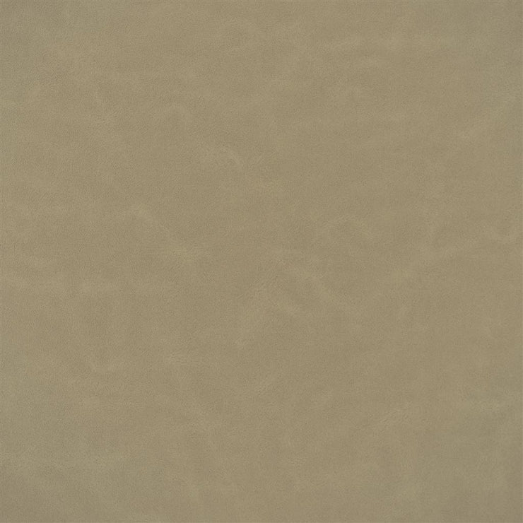 Matara Lucida - Biscuit