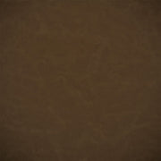 Matara Lucida - Sepia