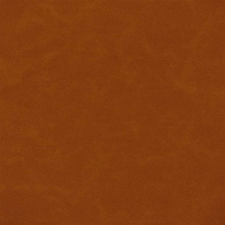 Matara Lucida - Flame