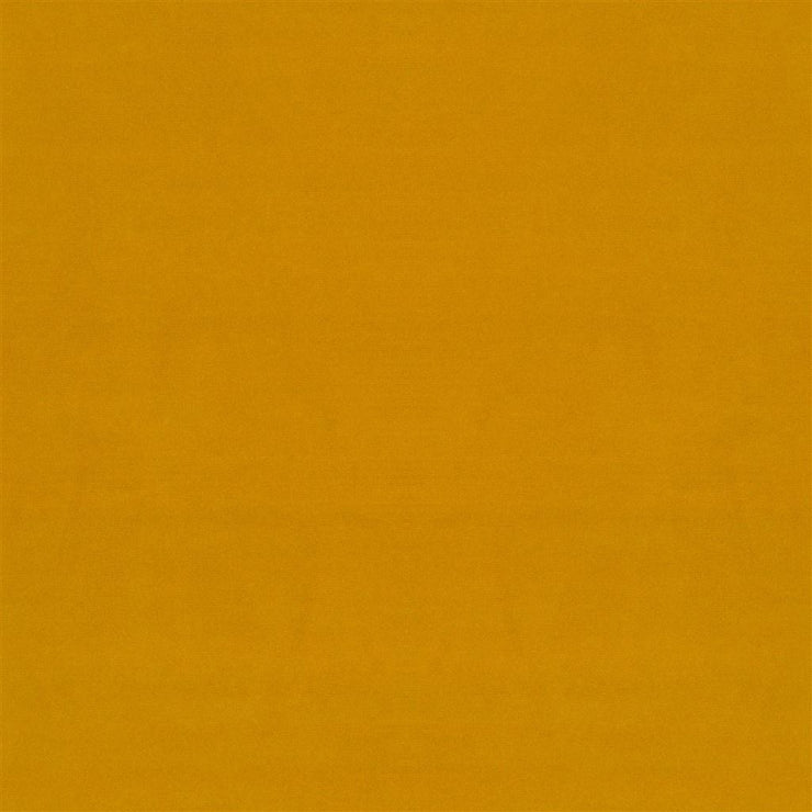 Velluto Stretto - Ochre