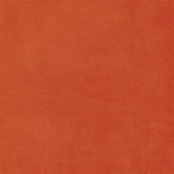 Velluto Stretto - Coral