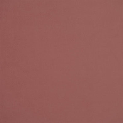 Velluto - Rose